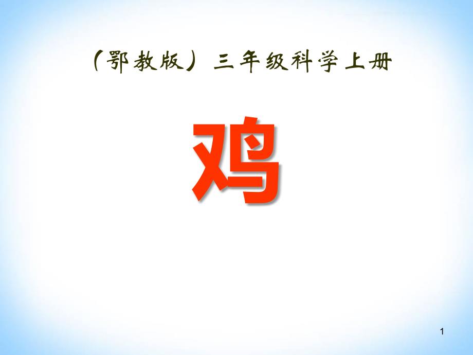 鸡-家养小动物【公开课ppt课件】_第1页