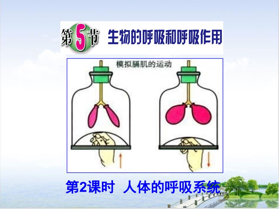 节生物呼吸和呼吸作用浙教版八级科学下册课件_第1页