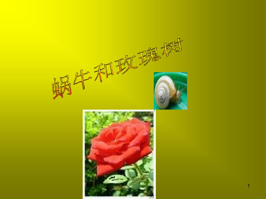 蜗牛和玫瑰树ppt课件汇编_第1页