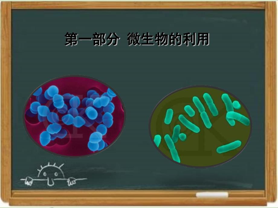 浙科版生物选修一《生物技术实践-》《微生物的利用》章末复习ppt课件-新版_第1页