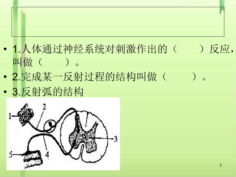 感受器和感觉器官课件4-北师大版_第1页