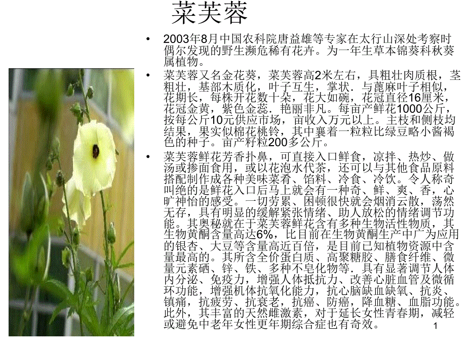 野菜大全解析课件_第1页