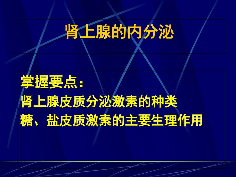 肾上腺的内分泌课件_第1页