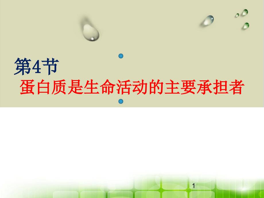 蛋白质是生命活动的主要承担者课件_第1页