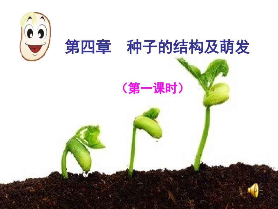 种子的结构及萌发初中生物ppt课件_第1页