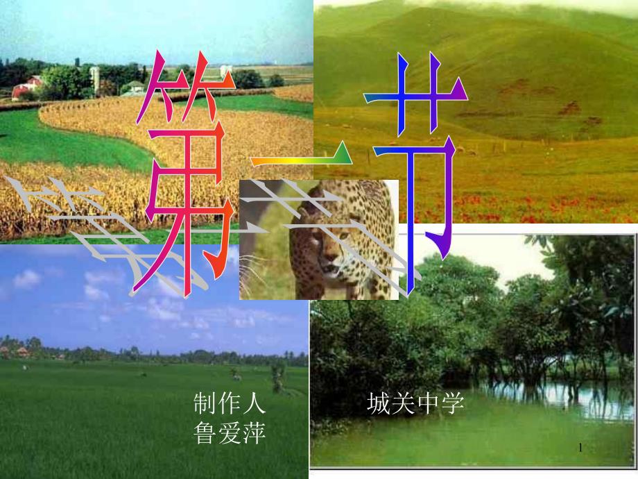 生态系统的组成课件1-苏教版_第1页