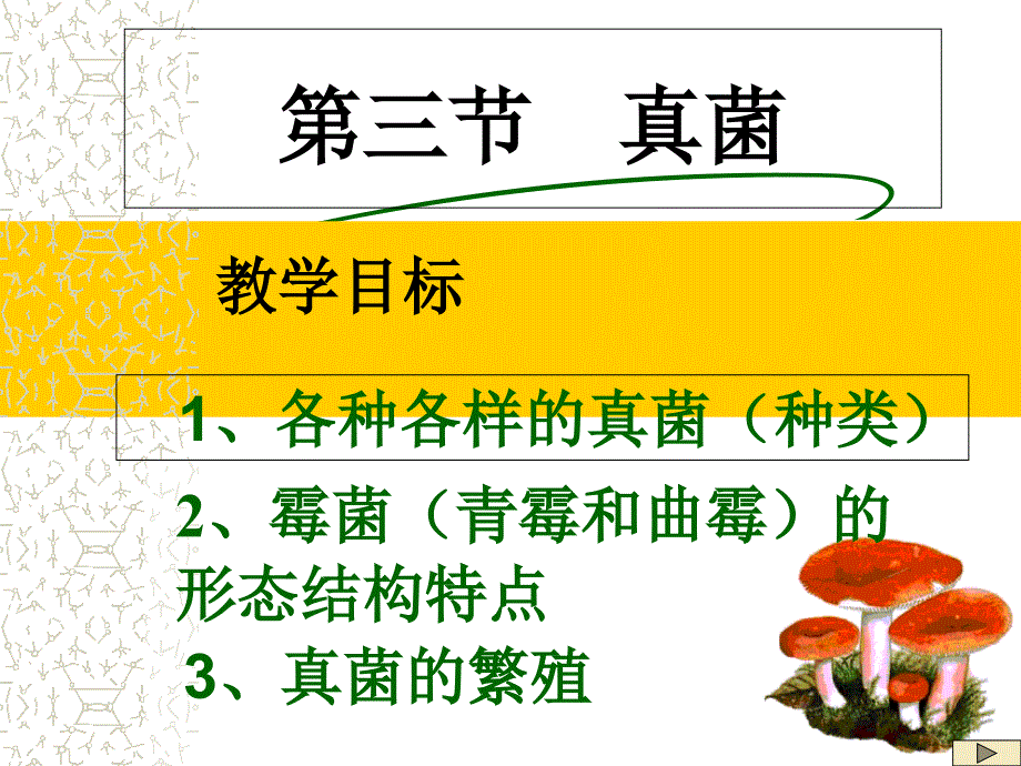 真菌(14)初中生物ppt课件_第1页