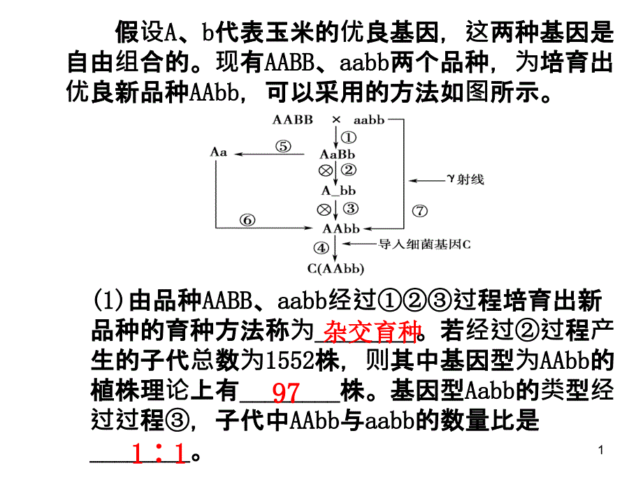 现代生物进化理论的由来-ppt课件_第1页