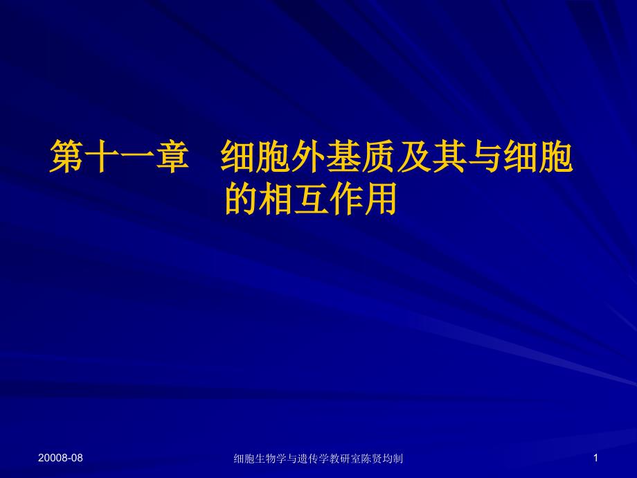 细胞外基质及其与细胞的相互作用课件_第1页