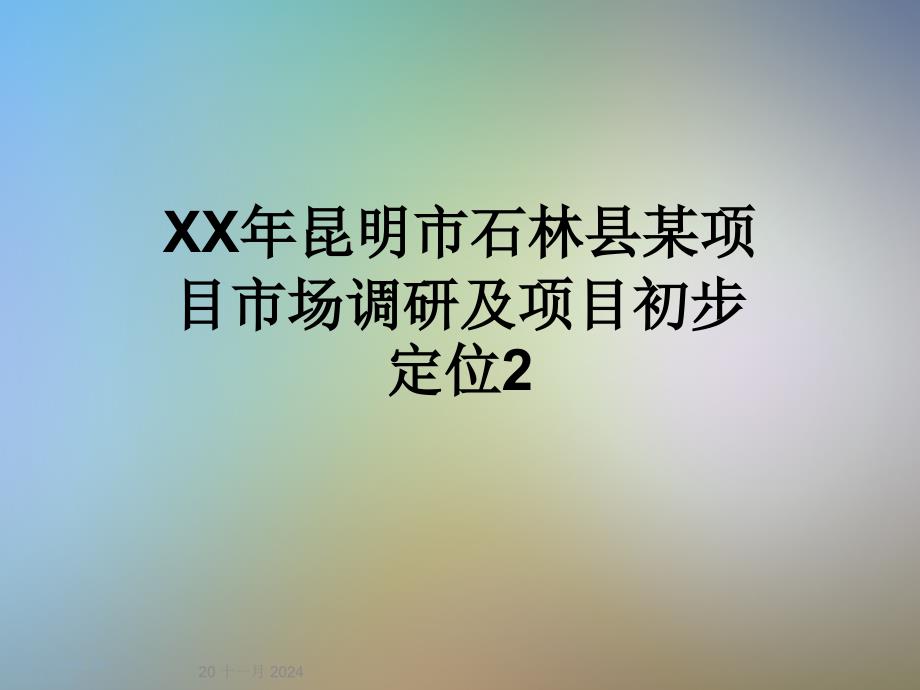 某项目市场调研及项目初步定位课件_第1页