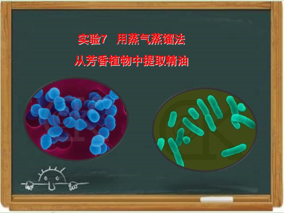 浙科版生物选修一《生物技术实践-》《用蒸气蒸馏法从芳香植物中提取精油》讲授ppt课件-新版_第1页