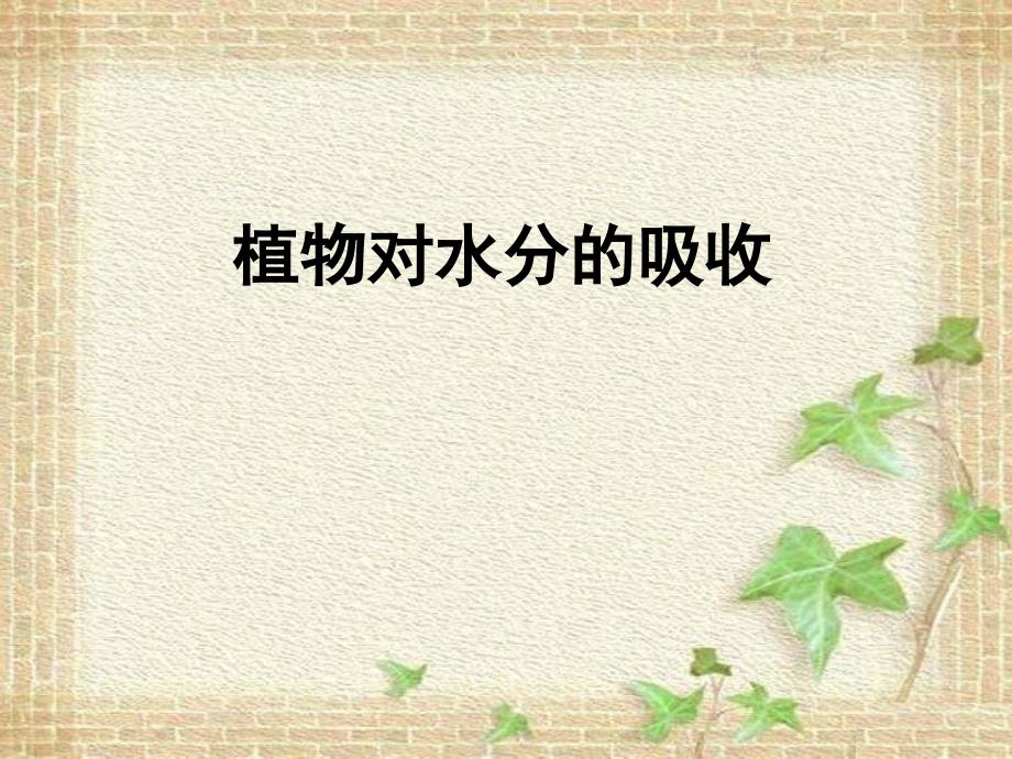 植物对水分的吸收初中生物ppt课件_第1页