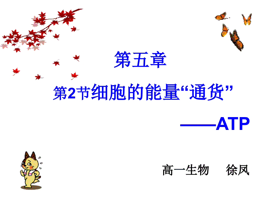 细胞的能量通货ATPppt课件_第1页