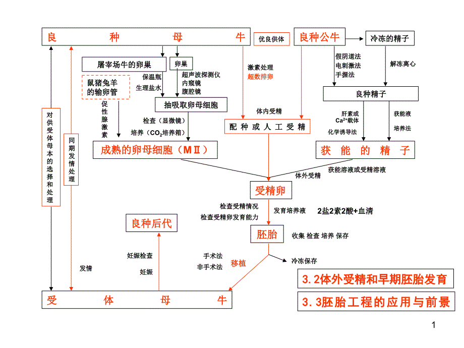 胚胎工程专题十道非选择题课件_第1页