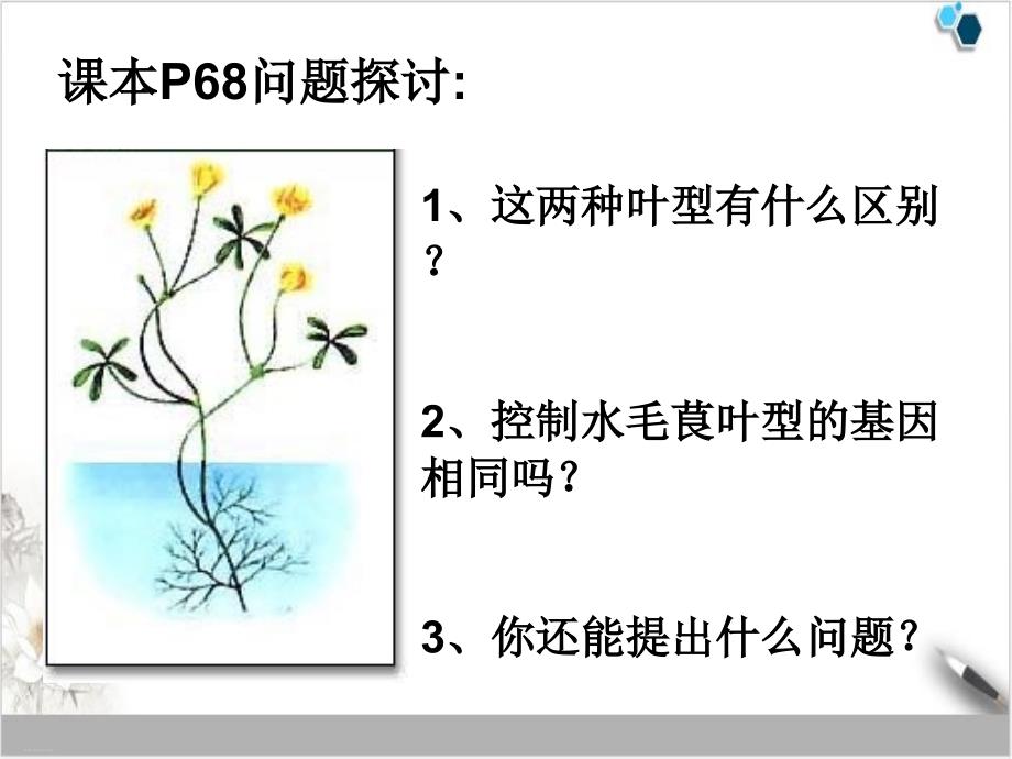 人教版《基因对性状的控制》课件_第1页