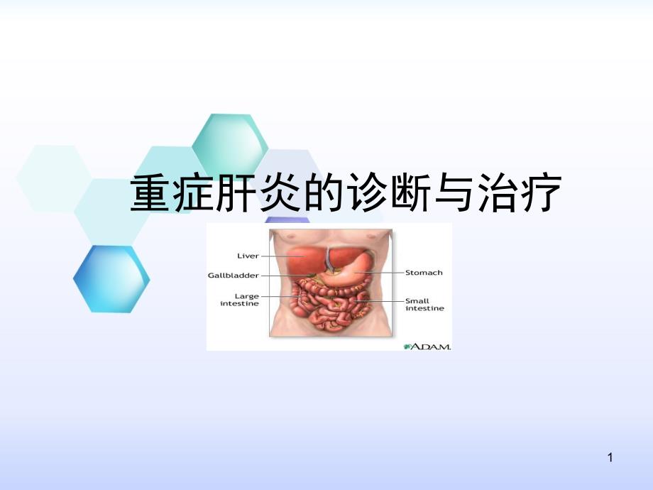 重症肝炎的治疗-课件_第1页