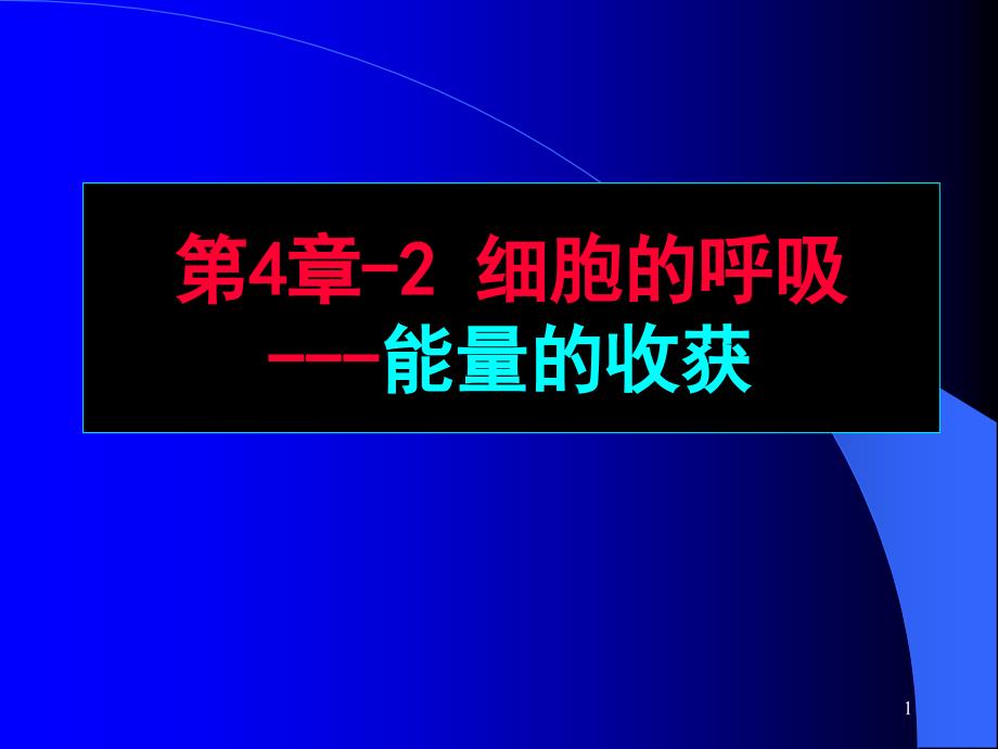 第4章-2糖酵解与氧化磷酸化课件_第1页