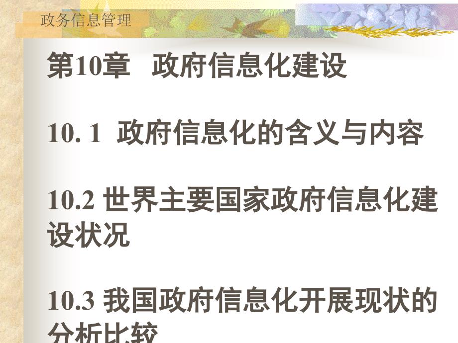 政务信息管理第10章政府信息化建设_第1页