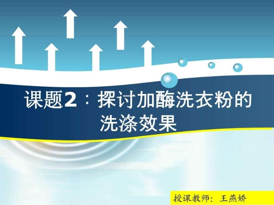 探讨加酶洗衣粉的洗涤效果(4)_第1页