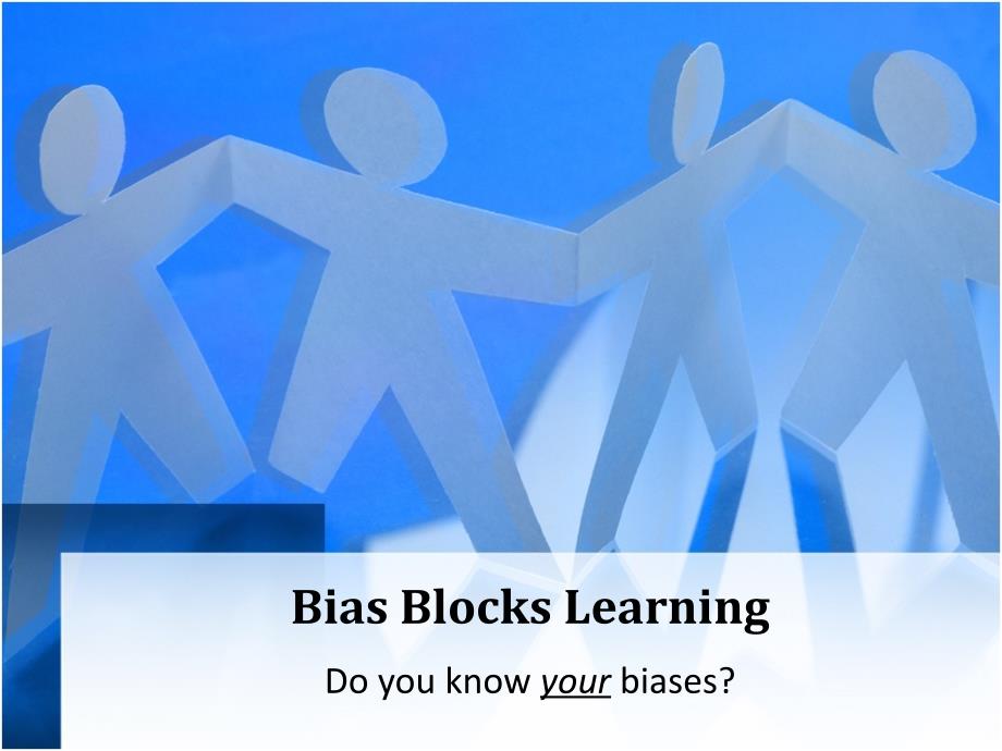 BiasBlocksLearning偏置块学习_第1页