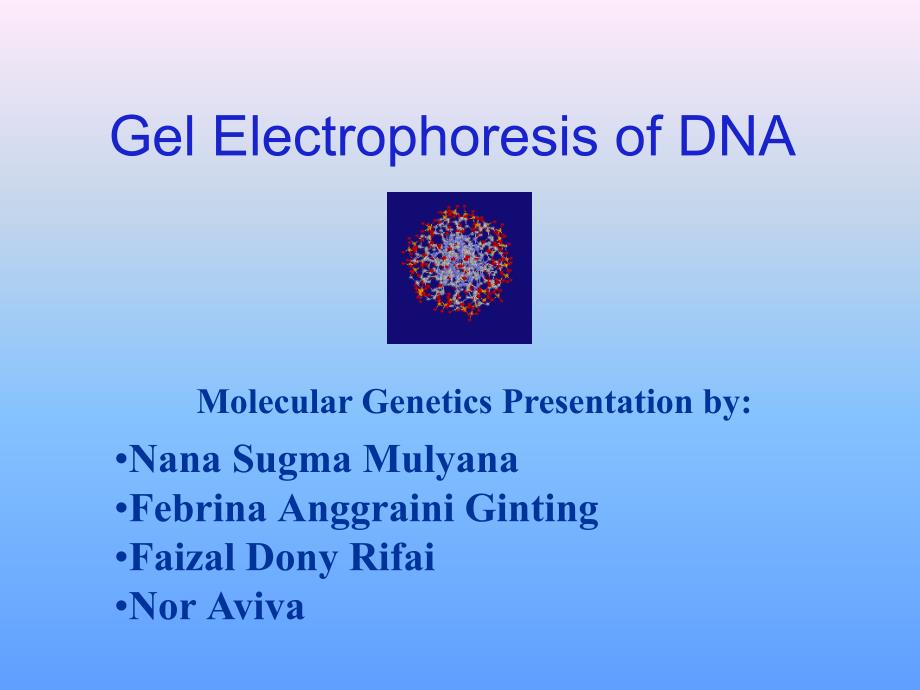 GelElectrophoresisofDNA-FPUGM-YogyakartaDNA凝胶电泳fpugm-日惹_第1页