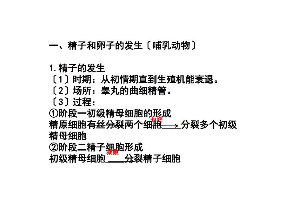 体内受精和早期胚胎发育_第1页