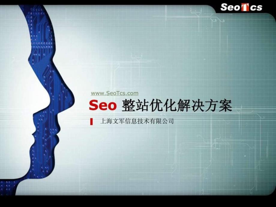 SEO整站优化解决方案(1)_第1页