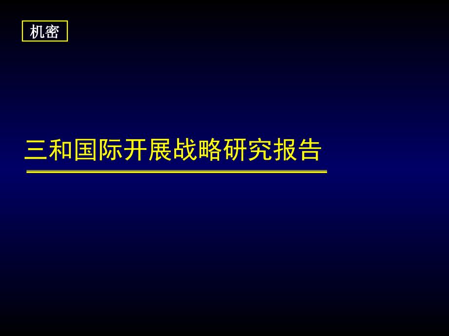 三和国际发展战略研究报告_第1页