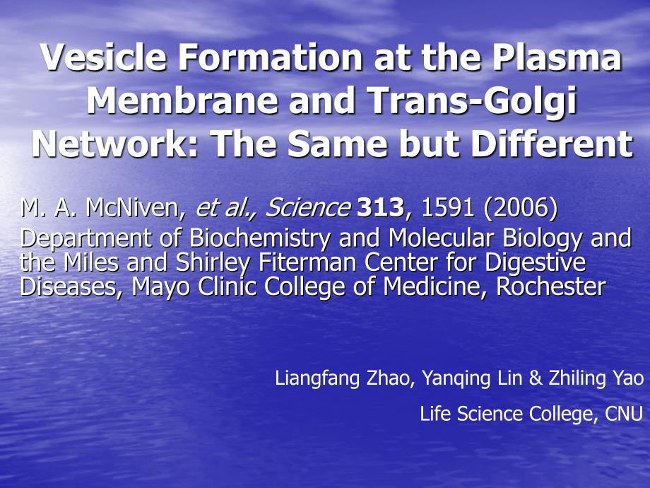 VesicleFormationatthePlasmaMembraneandTrans-Golgi在质膜和高尔基体囊泡的形成_第1页