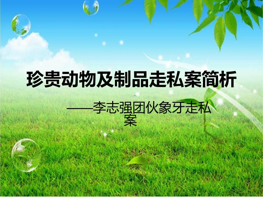 近年走私案例分析_第1页