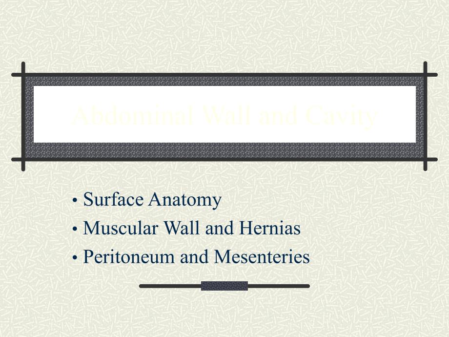 Abdominal Wall and Cavity - Community College of Rhode …腹壁腔-罗德社区学院…_第1页