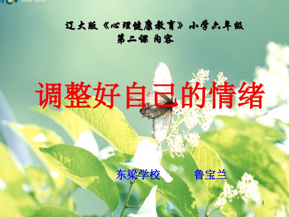 《第二课-调整好自己的情绪课件》小学心理健康教育辽大版六年级下册936_第1页