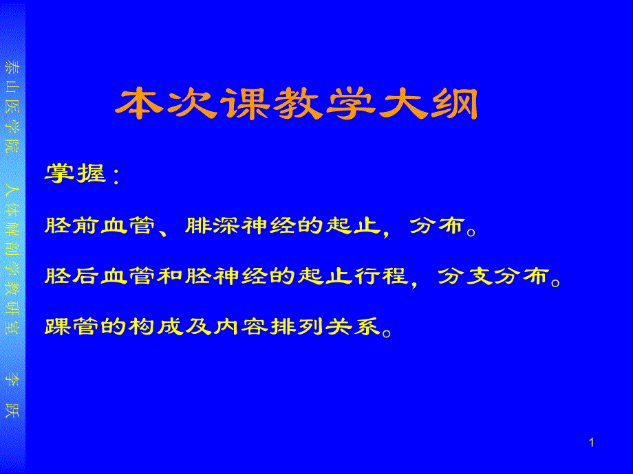 下肢局解m教学-哈尔滨医科大学局解-局部解剖学教学课件_第1页