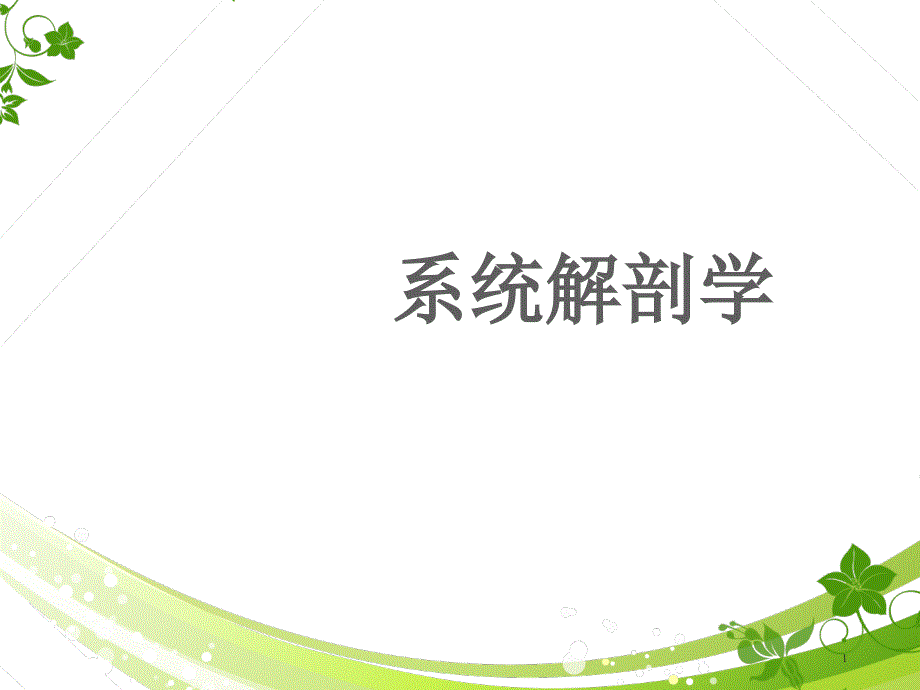 《系统解剖学》肌学--课件_第1页