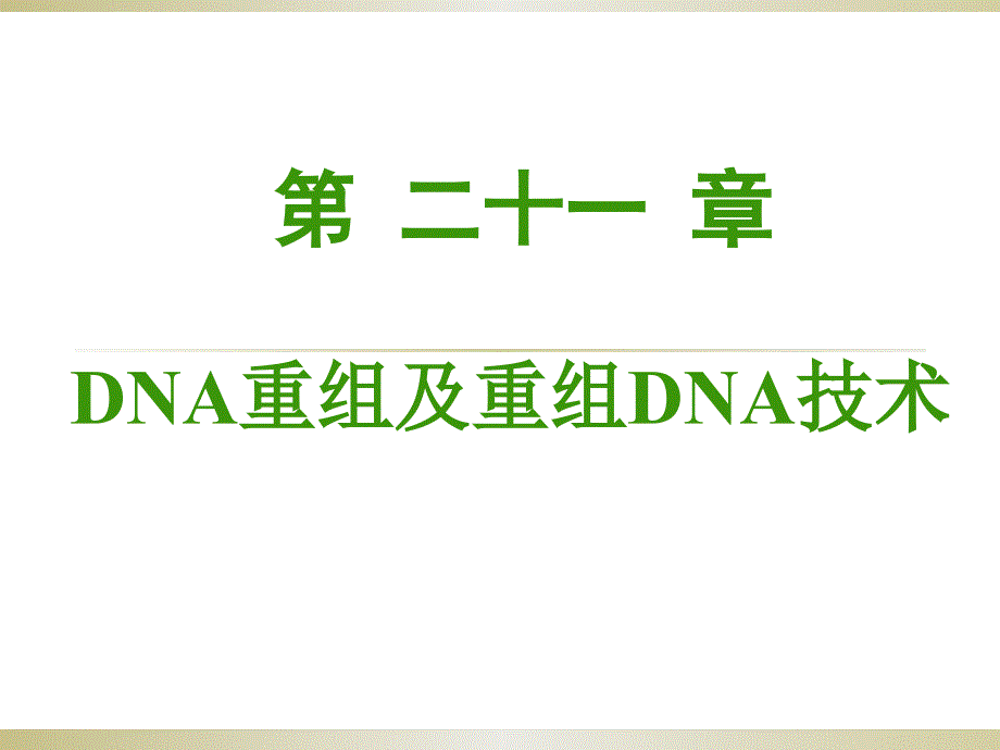 21 DNA重组及重组DNA技术_课件_第1页