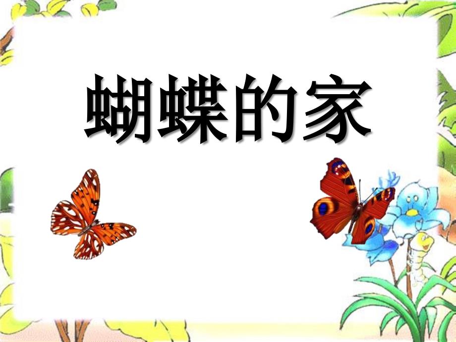 《蝴蝶的家》实用课件4_第1页