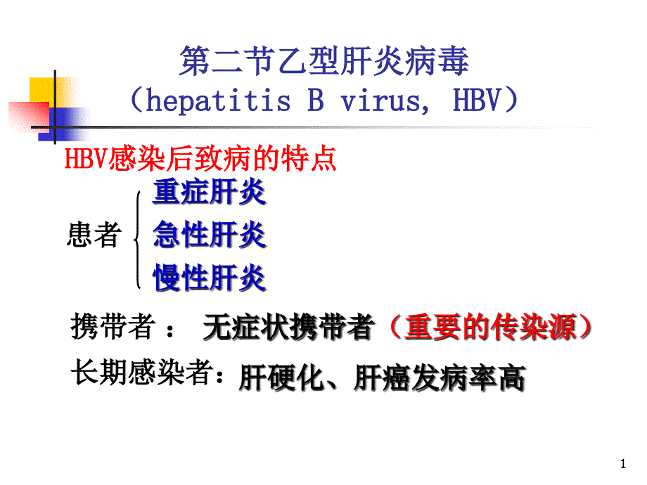 乙型肝炎病毒-课件_第1页