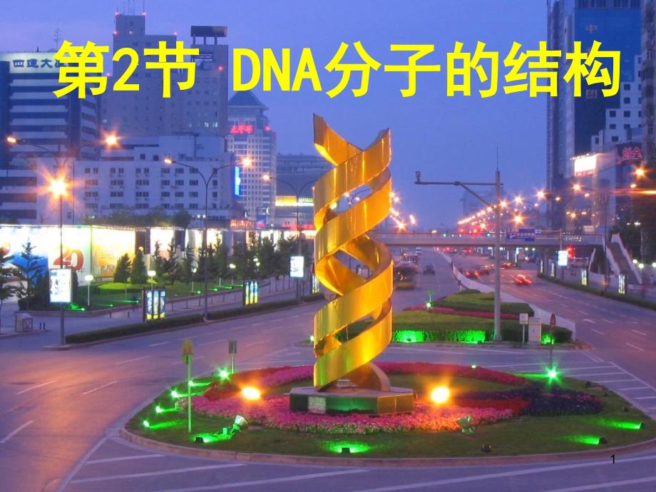 DNA分子的结构计算全部课件_第1页