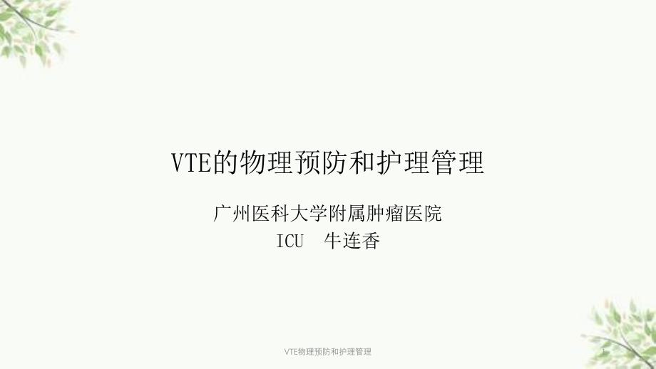 VTE物理预防和护理管理课件_第1页