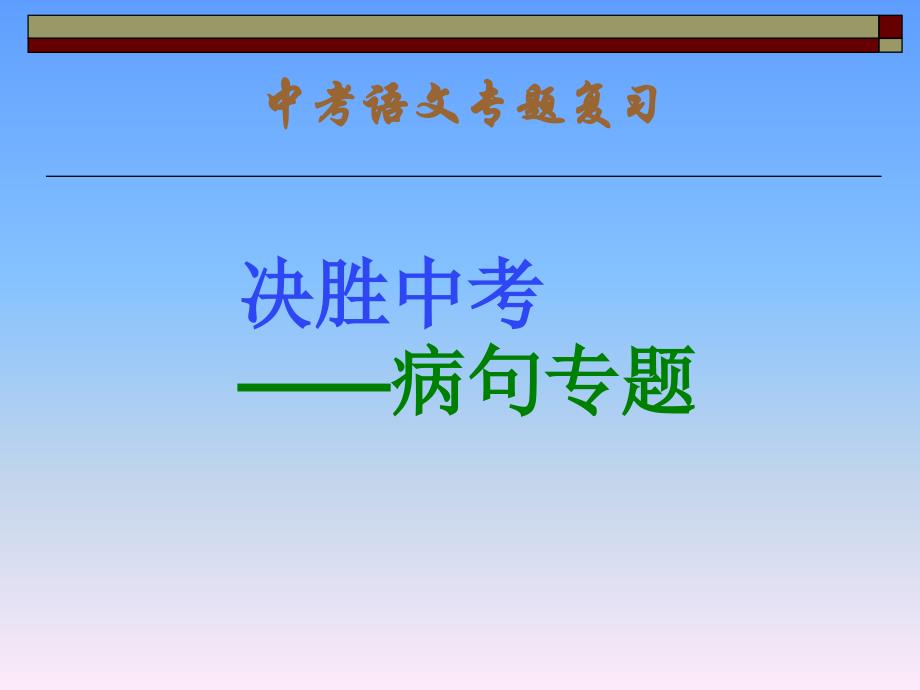 中考语文专题复习课件_第1页