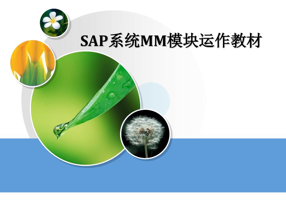 SAP-MM模块培训教材课件_第1页