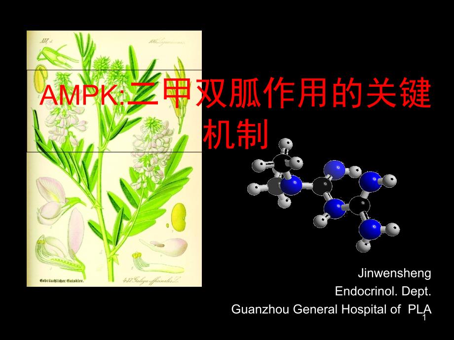 二甲双胍作用机制研究进展(关键靶点AMPK的核心作用)课件_第1页