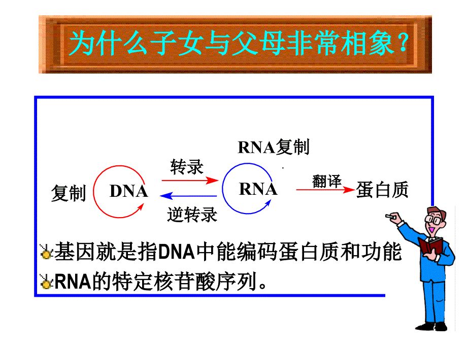 DNA合成与修复-课件_第1页