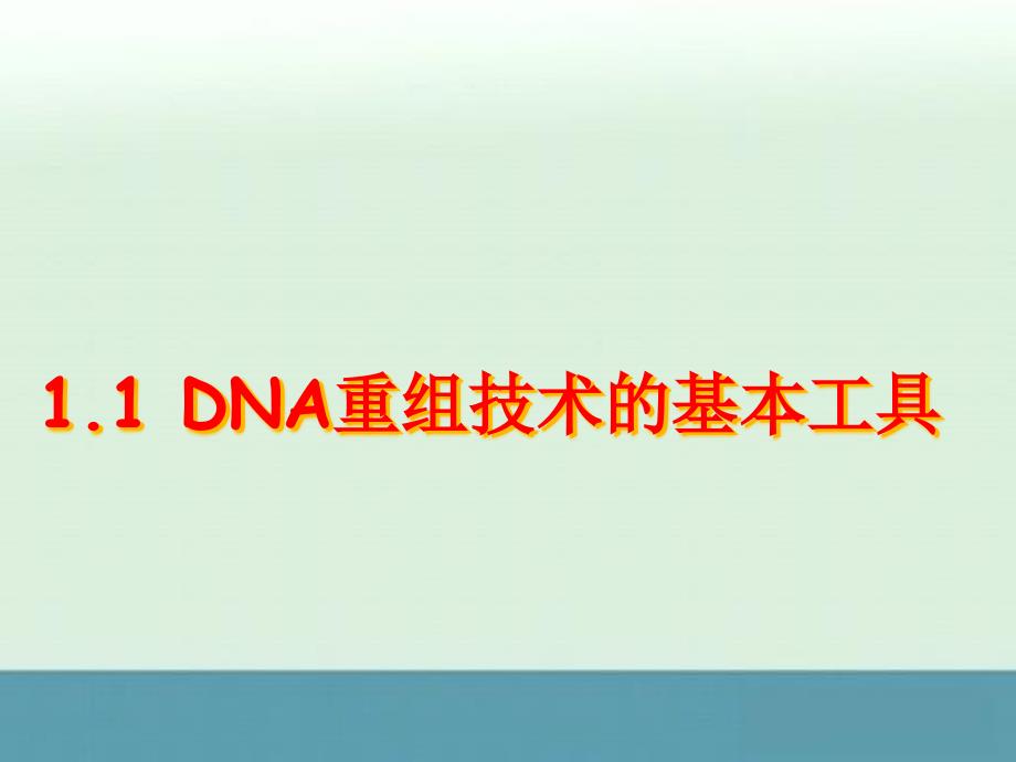 《DNA重组技术的基本工具》课件一（）（人教版选修3）_第1页