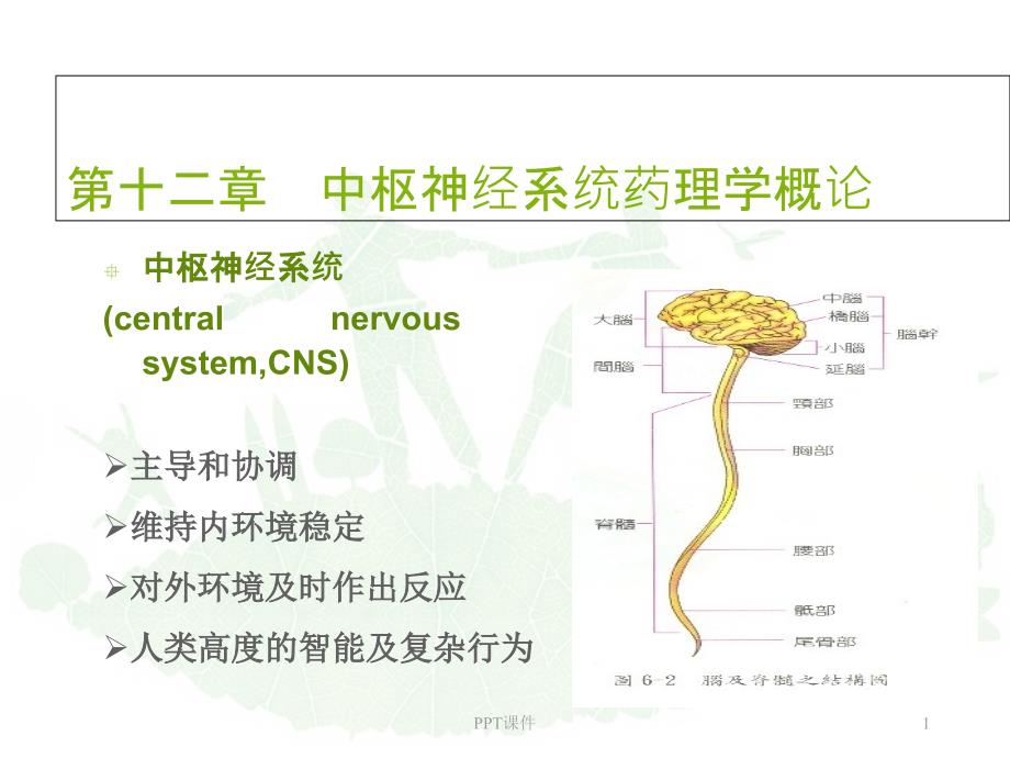 《药理学》中枢神经系统药理学--课件_第1页