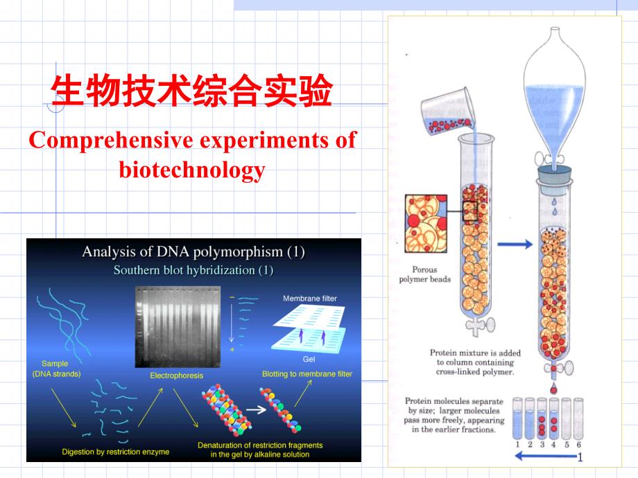 七外源基因的克隆与表达课件_第1页