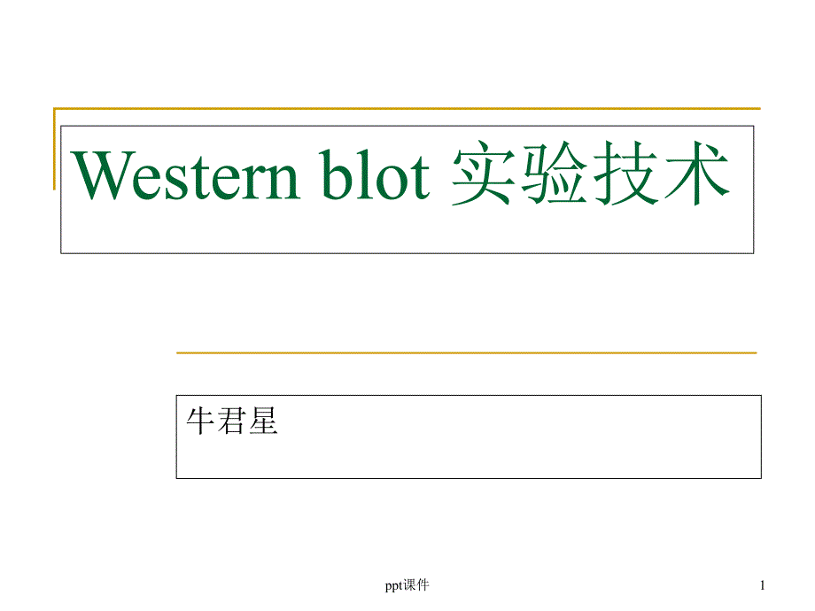 WB原理流程--课件_第1页