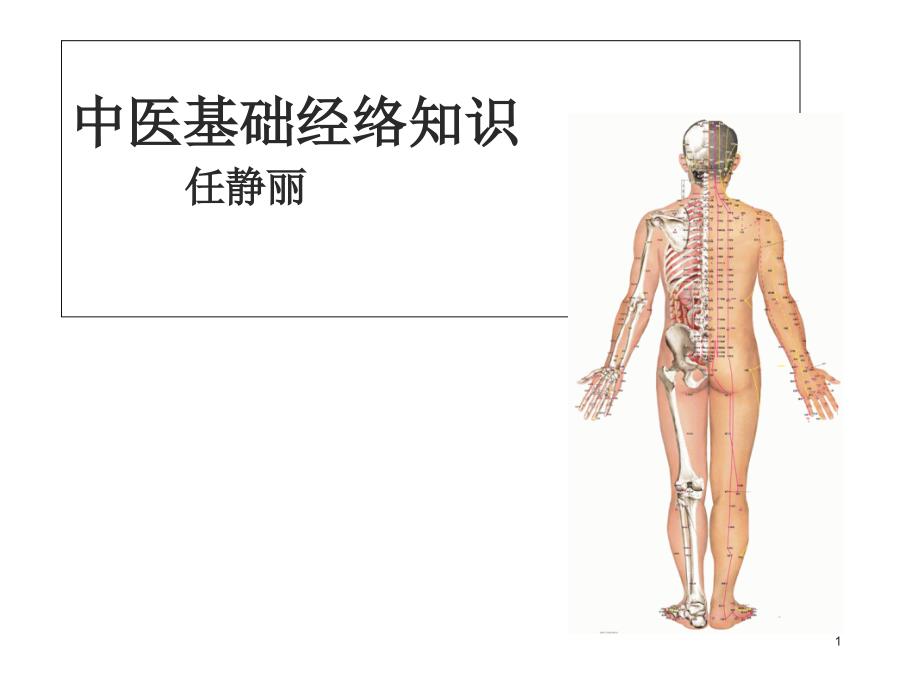 中医基础经络知识课件_第1页