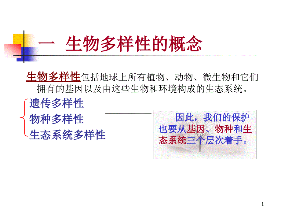 一生物多样性的概念课件_第1页