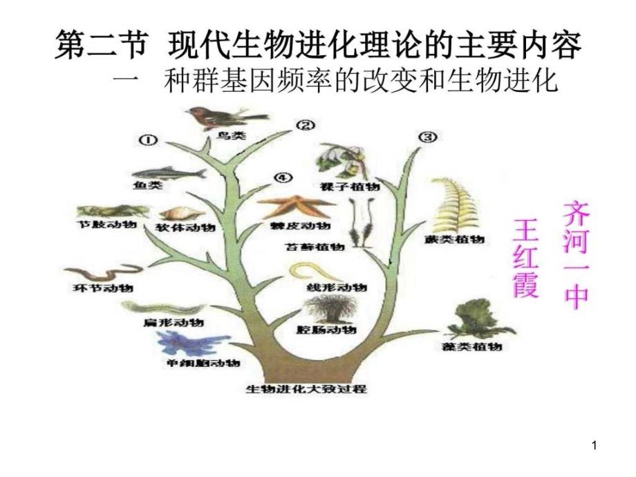 人教版必修二第七章第二节现代生物进化理论主要内容(课件_第1页